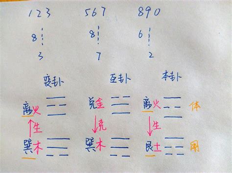 梅花八字|梅花易数在线排盘